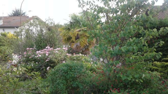 1494608945366901815238