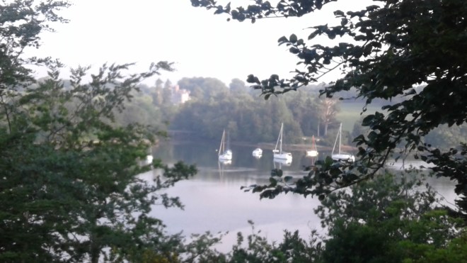 20170615_L'Odet(Gouesnach,1)