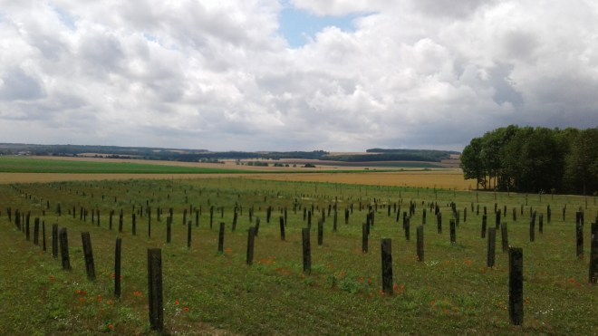 20170710_Dansl'Aisne